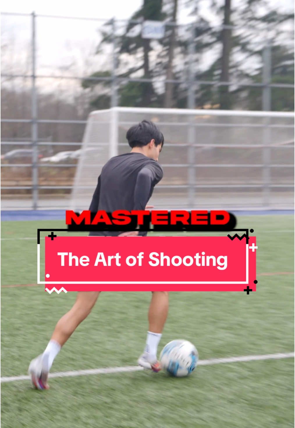 The Art of Shooting 