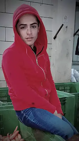 #CapCut 