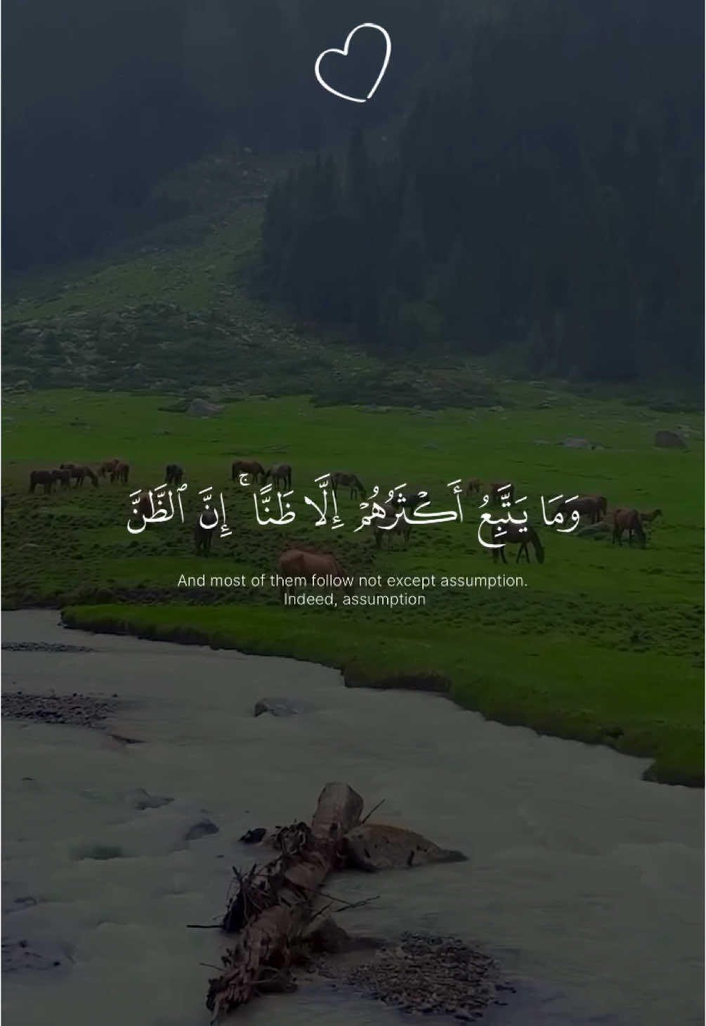 تلاوة من القارئ عبد الرحمن مسعد سورة يونس #عبدالرحمن_مسعد #قران_كريم #قران #راحة_نفسية #Quran #quran_alkarim 
