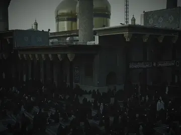 ملك تزاحمت الملوك ببابه #باسم_الكربلائي  #العتبة_الكاظمية_المقدسة 