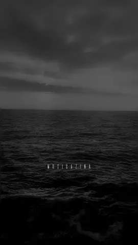 #تامر_عاشور #ماشيين#musicazina  