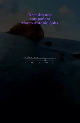 Necesito una compañera Marco Antonio Solís #fypツ #foryourpage #fypage #paratiiiiiiiiiiiiiiiiiiiiiiiiiiiiiii #fyppppppppppppppppppppppp #marcoantoniosolis #musica #viralvideo #fy #fypシ゚viral #viraltiktok #tendencia 