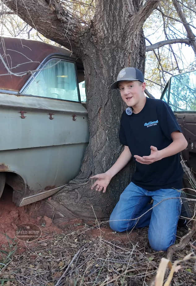 Impala Vs. Tree 🌳 #Impala #62impala #chevy #willitrun #ranchero #junkyard #abandoned #forgotten #junkyardjack #rancherokid #cleftstrong