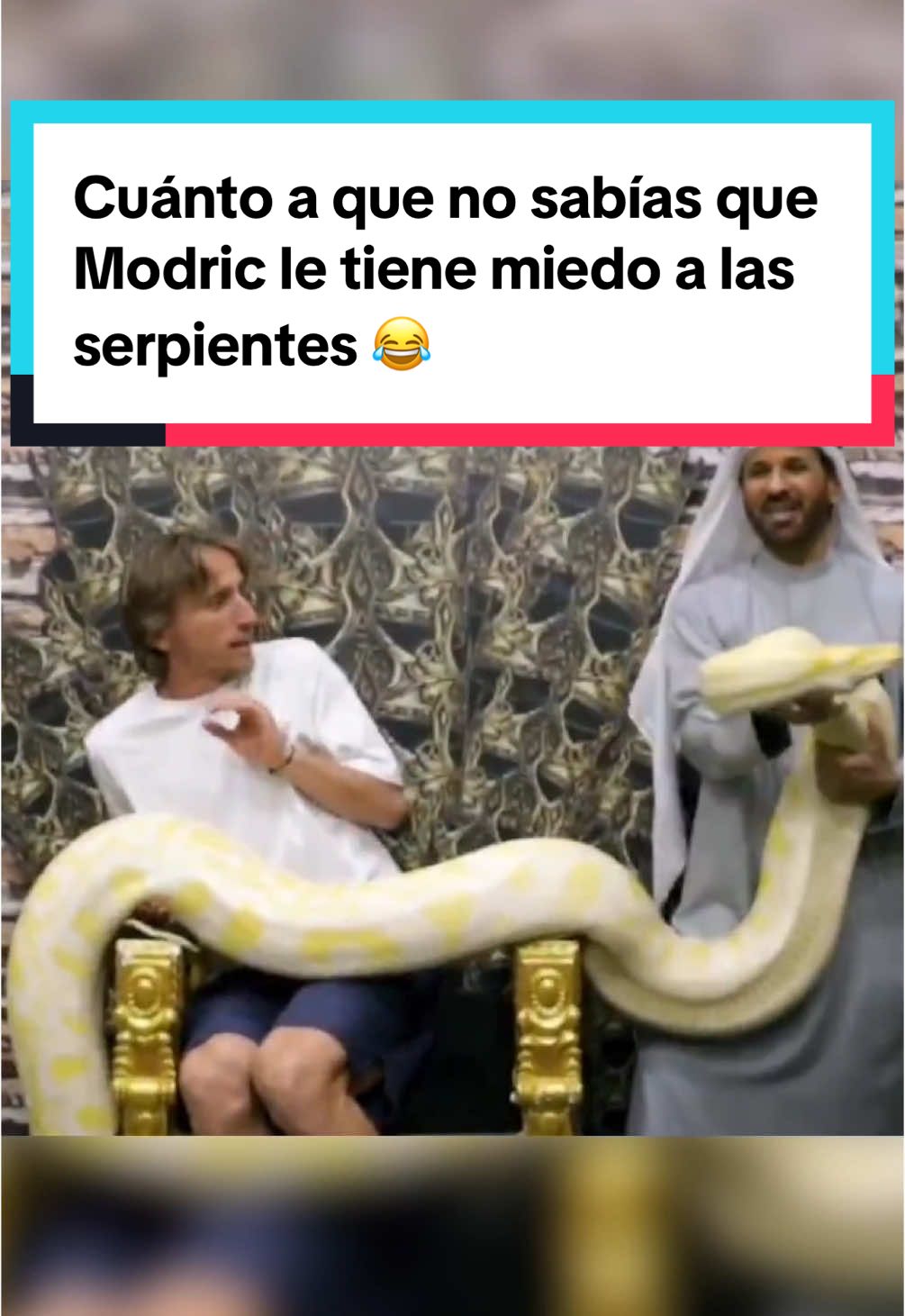Cuánto a que no sabías que Modric le tiene miedo a las serpientes 😂 #lukamodric #futbol #TikTokDeportes 
