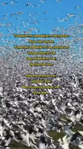 Adnan Tayfun  #gurbet  #adnantayfun 