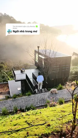 Trả lời @Annie 🍀 Aster  ở trong 1 khung cảnh như mơ…. #nangthuytinh #mocnhienfarm #Mocnhien #Dalat #nhacontainer #mylife #Nhien #mystory #nhacontainer 