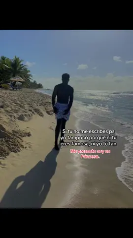 Ya sabes soy un princeso #videoviral #pelotero #professional #greenscreen #beisbol #parati#fyp 