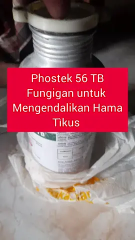 Fungigan pengendali hama tikus #pestisidatikus #hama 