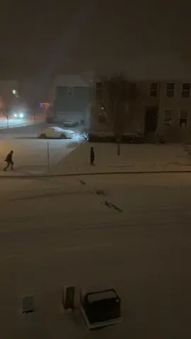 Looked out my window and saw this (made my day) #fyp #nj #cas #snow #winter #family #wholesome