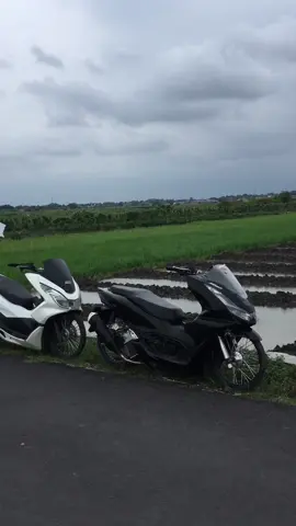 tegal bagian pakwongwong #pcx150ล้อ17แต่งสวย #ring17style #pcx160ล้อ17แต่งสวย❤️✌️อยากขึ้นฟีด💗 #fyp #Fyp #yxzcba #foryou #viral #masukberanda 