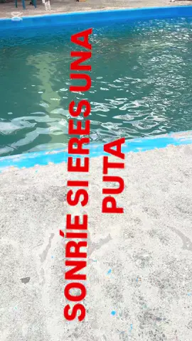 Solo es humor🤣🤣🥳🥰 #viraltiktokr #amigos #colombia #viralvideo #humor 