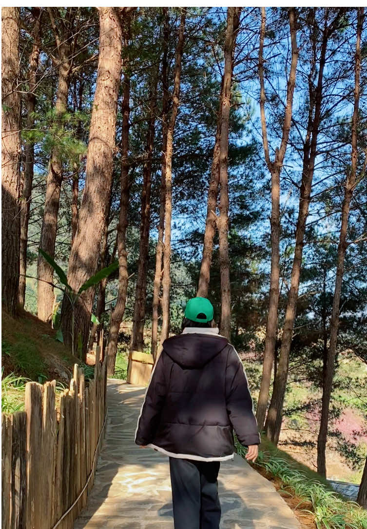 🌲🌲 #hachigarden #garden #farming #yenbai #vietnam #travel 