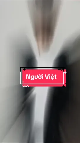 Người Việt Người Việt Người Việt #CapCut #DinhTienDat #tet2025 #anhtraivuotnganchonggai #nguoiviet 