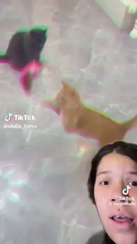 🤣🤣✌🏽
