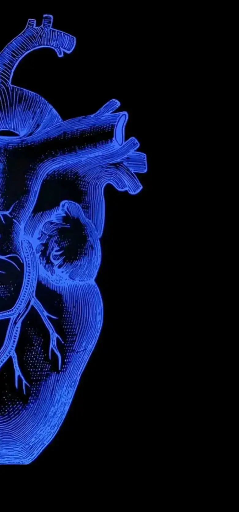 اللهم_على_كل_شيء_قدير_ولا شريك_لك_لبيك