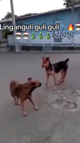 linggang guli guli wacha🤓👍#memeabsurdhumor #memeabsurd #meme #linggangguliguliguliwaca 