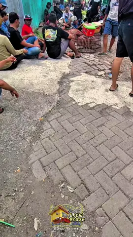 setiap permainan pasti ada kalah&menang lek menang tok kan bahaya🥶🥵🤪🤣🏴‍☠️ #borak #crewborak #merpatikentongsurabaya #merpatikonten #merpatikentong #merpatiku #merpatilovers #soundviral #surabaya24jam #surabayatiktok #trend #soundviral #xcyzbca #fyp #surabaya #merpati #CapCut 