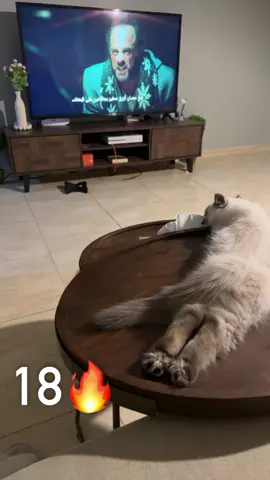 #CapCut #مالي_خلق_احط_هاشتاقات #اكسبلور #قطط #anime #standwithkashmir #xyzbca #الشعب_الصيني_ماله_حل😂😂 #ترند #اكسبلورexplore #تيك_توك_جيمينج 