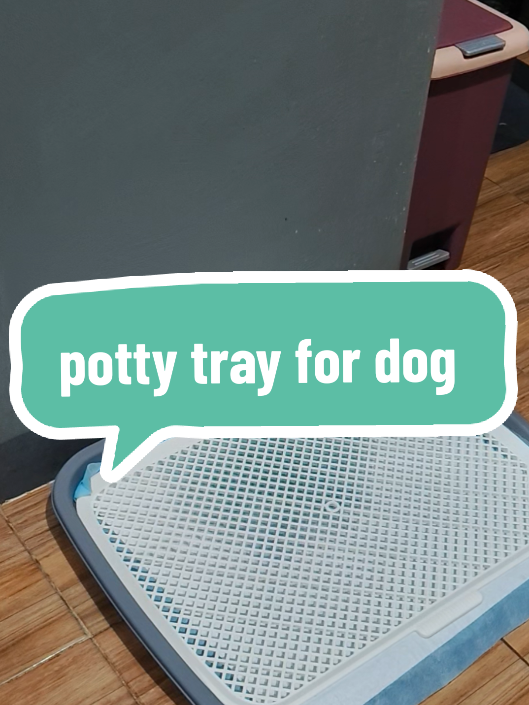 napaka sulit Netong ating potty tray mga mii 275 lang yan ha large size na sakto sya sa training pad na nabili ko rin 🥰  #pottytrayfordogs #pettoiletdog  #trainingpads #trainingpadfordogs 