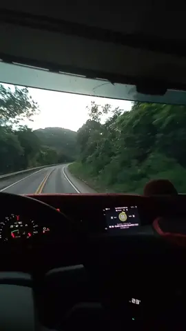 conexão #Rondônia #rolindemoura #adm #farelopalerizado 