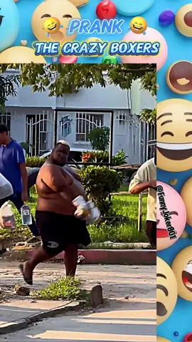 The Crazy Boxers 🤣 #funny #funnyvideos #funnytiktok #funnyprank #prankvideo #prankvideos #funnyprankvideos #funnymoments #fyp