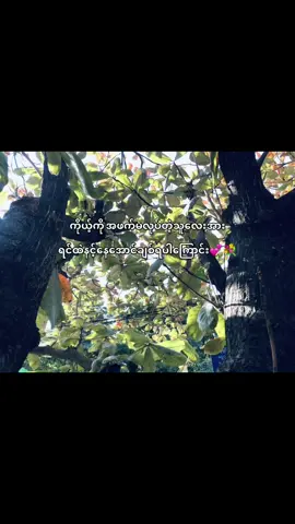 #ဒါလေးတော့viewများချင်တယ်🥺🙂 #fypシ 