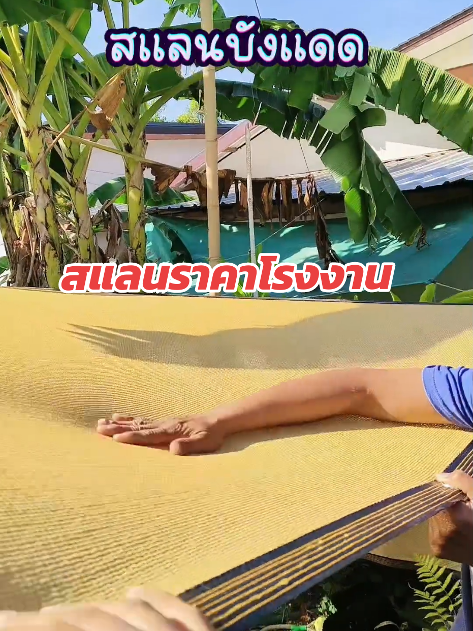 #สแลน #สแลนกันแดด #สแลนกรองแสง #สแลนบังแดด #สแลม #ตาข่ายบังแดด #ตาข่ายกรองแสง #บังแดด #กันแดด #กรองแสง #สินค้าขายดี #นายหน้าtiktokshop #ฟีดดดシ 
