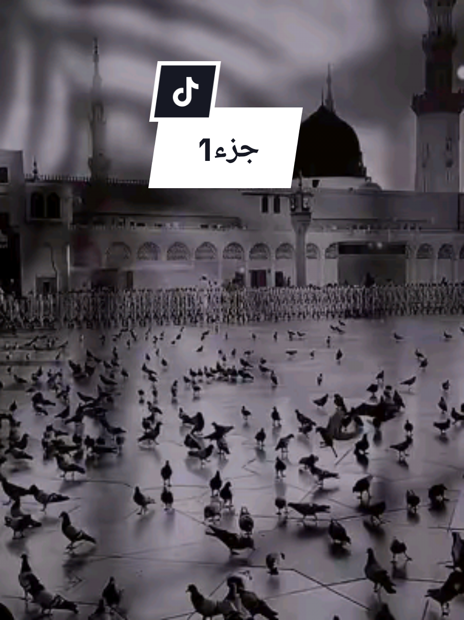 #قصص_الانبياء #قصص_الانبياء_والمرسلين #اللهم_صلي_على_نبينا_محمد #اللهم_صل_وسلم_على_نبينا_محمد #لااله_الا_انت_سبحانك_اني_كنت_من_ظالمين #لااله_الا_الله 