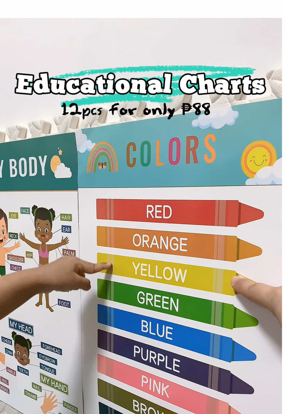 12pcs Laminated Educational Charts for kids with colorful and visually engaging design. #educationalchart #educationalchartforkids #12pcseducationalchart #laminatedchartsforkids #educationalpurposes 