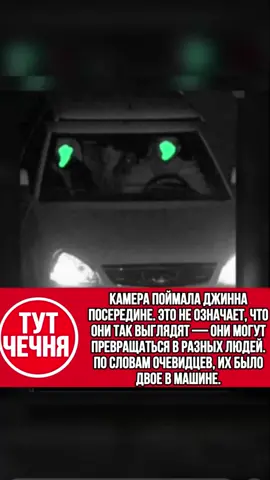Чеченские видео в телеграмме ссылка в профиле #чечня #чеченцы #чеченец 