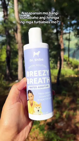 Napapansin mo bang bumabaho ang hininga ng mga furbabies mo? #breezybreath #drshiba #drshibabreezybreath #drshibadentalsolution 