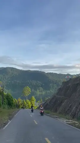 sagea maluku utara 😎