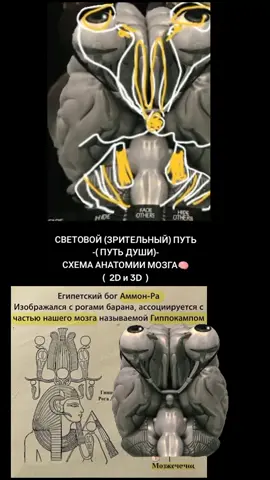 #душа#свет#путь#освещение #озарение#просветление #позитив #оптика#зрение #вдохновение #ра#египет #бог#пирамида #мозг#глаза #🧠#👁️#🌞#soul#way#pass#opticalillusion #optica#trak#head#universe #anatomy #вселенная #анатомия #god #omg #openyoureyes #brain #egypt#eyes #ra#light#lux#foton#🌞#🌞🌞🌞#👍