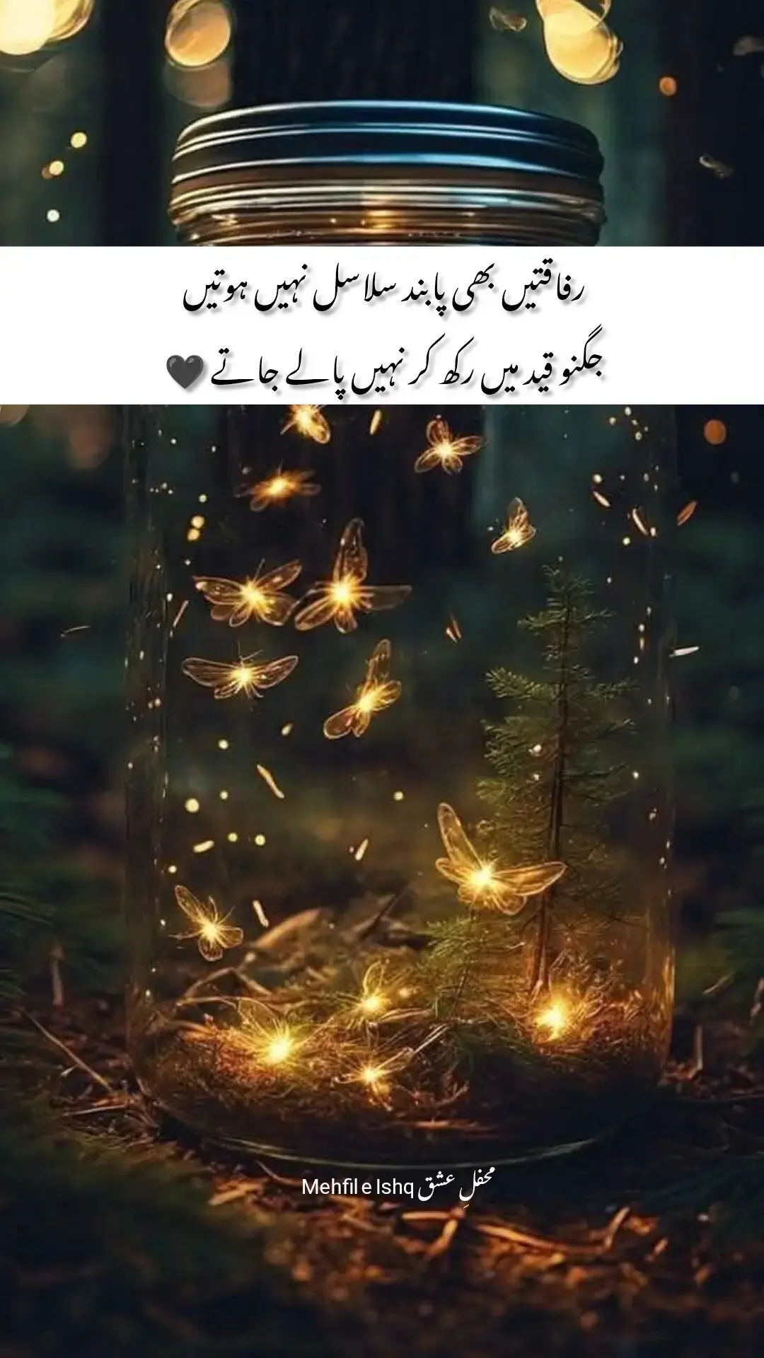 #viral #viralvideos #foryou #foryoupage #caption #urducaption #Poetry #urdupoetry #mehfileishq 