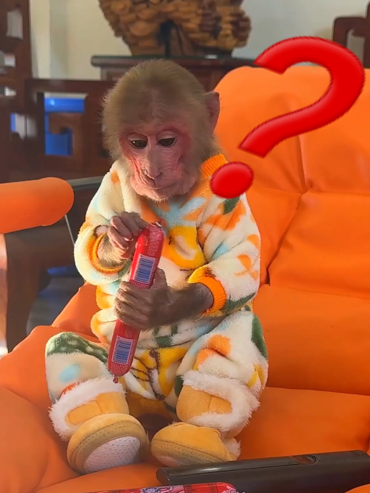 Lu stole BiBi's food. #MonkeyBiBi #BiBifamily #animalcutes #animal #babymonkey #monkeybabi #bibiandmom #pest #bibiandlala #monkey 