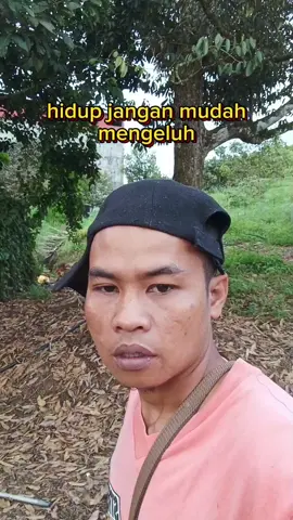 #buyungbungo1  #fyp  #fypシ゚viral  #fyppppppppppppppppppppppp  #fy  #jambitiktok  #vidioviral  #yanglagiviral  #tiktoker  #vidio  #vidiolucu  #vidiongakak  #orangbungo  #cewekbungo  #anakrantau 