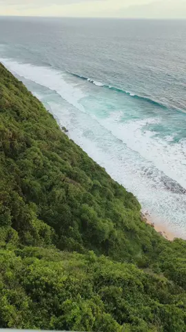 Yang Mau Tour Keliling Bali Bisa langsung DM atau chat ke nomer telpon gw yg ada di BIO ya guys!! sewa motor, mobil lengkap dengan supirnya ada guys!!  #tourbali #wisatabali #bali #nusaduabali #canggu #seminyak #legian #ubud #kintamanibali #bedugul 