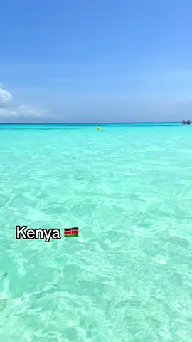 Quando ci chiedono cos’è il Kenya? Il Kenya è tutto! P.s la stella marina è stata salvata e rimessa in acque profonde (spesso qui in Kenya restano ore fuori dall’acqua per via del fenomeno delle maree) #kenya #kenyantiktok🇰🇪 #safari #watamu #africa 