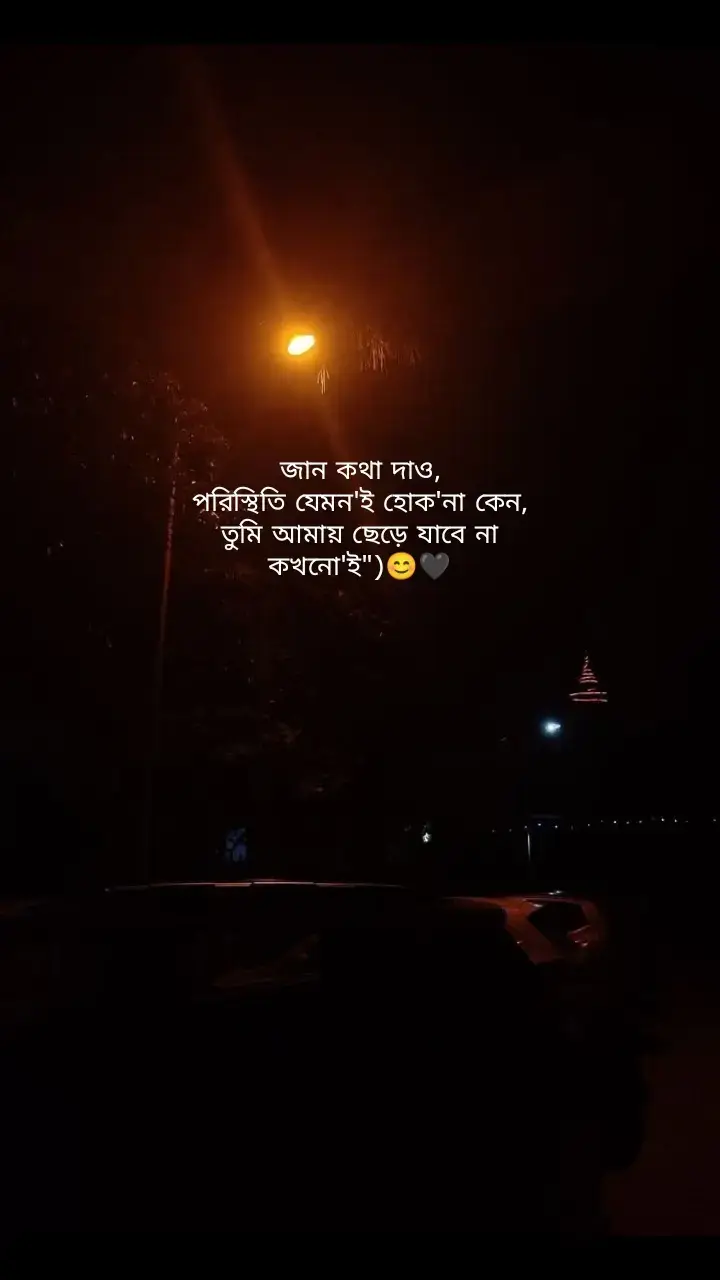জান কথা দাও, পরিস্থিতি যেমন'ই হোক'না কেন, তুমি আমায় ছেড়ে যাবে না কখনো'ই