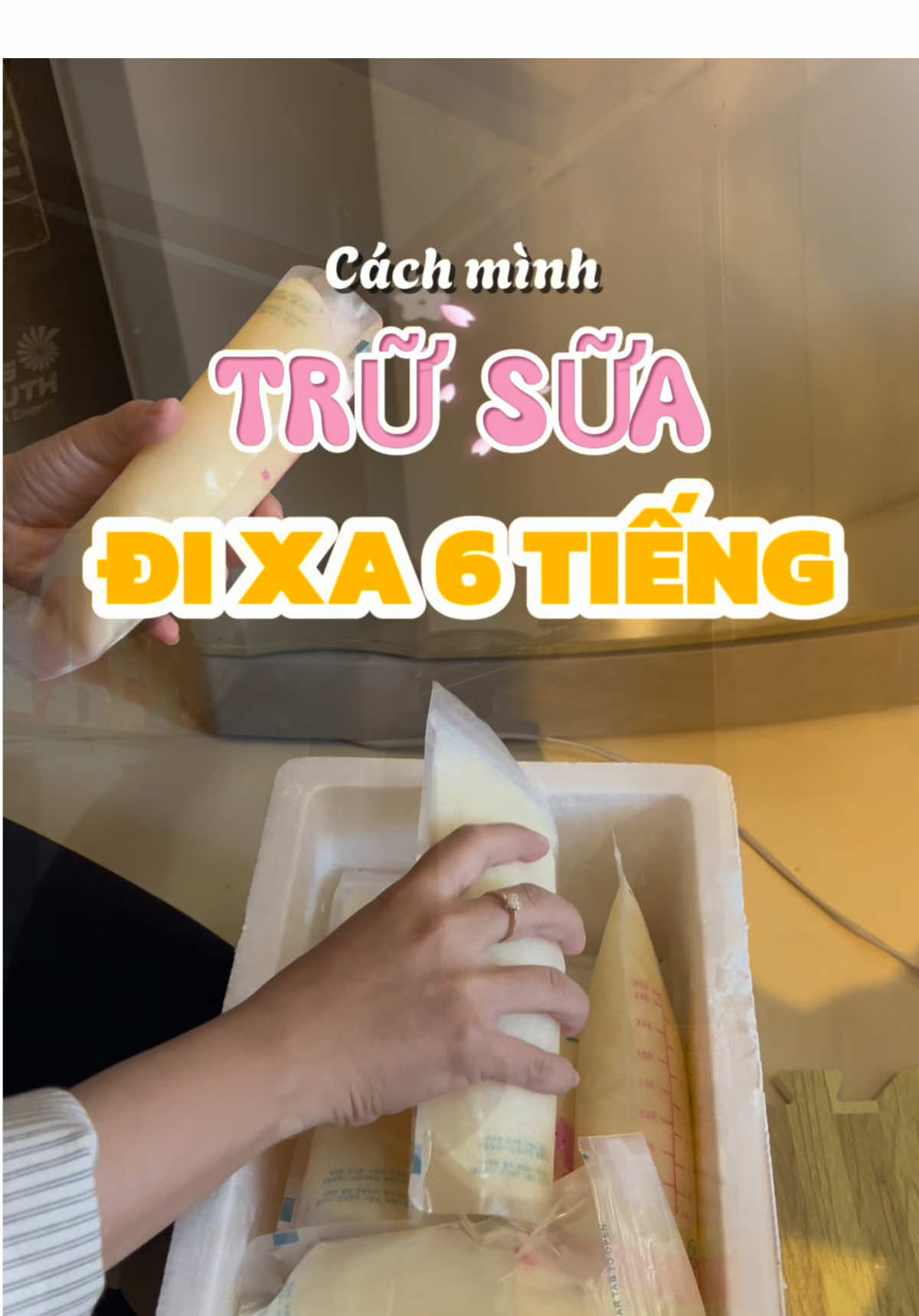 Về quê ăn tết và cách mình trữ sữa trên xe #xuhuong #dcgr #vequeantet 
