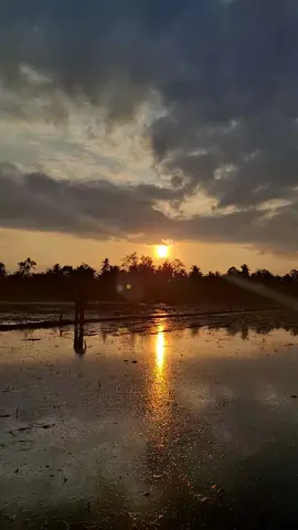 #sunset #anakpetani #aceh #sunsetlover #fyp #senja #sore #senjasorehari #sawah #sawahpadi #senja_story 
