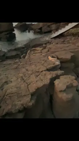 tình buồn không phải lúc nào cũng chỉ để quên đi. #fyp #xuhuong #xh #sea #xhtiktok #xuhuongtiktok #bun 