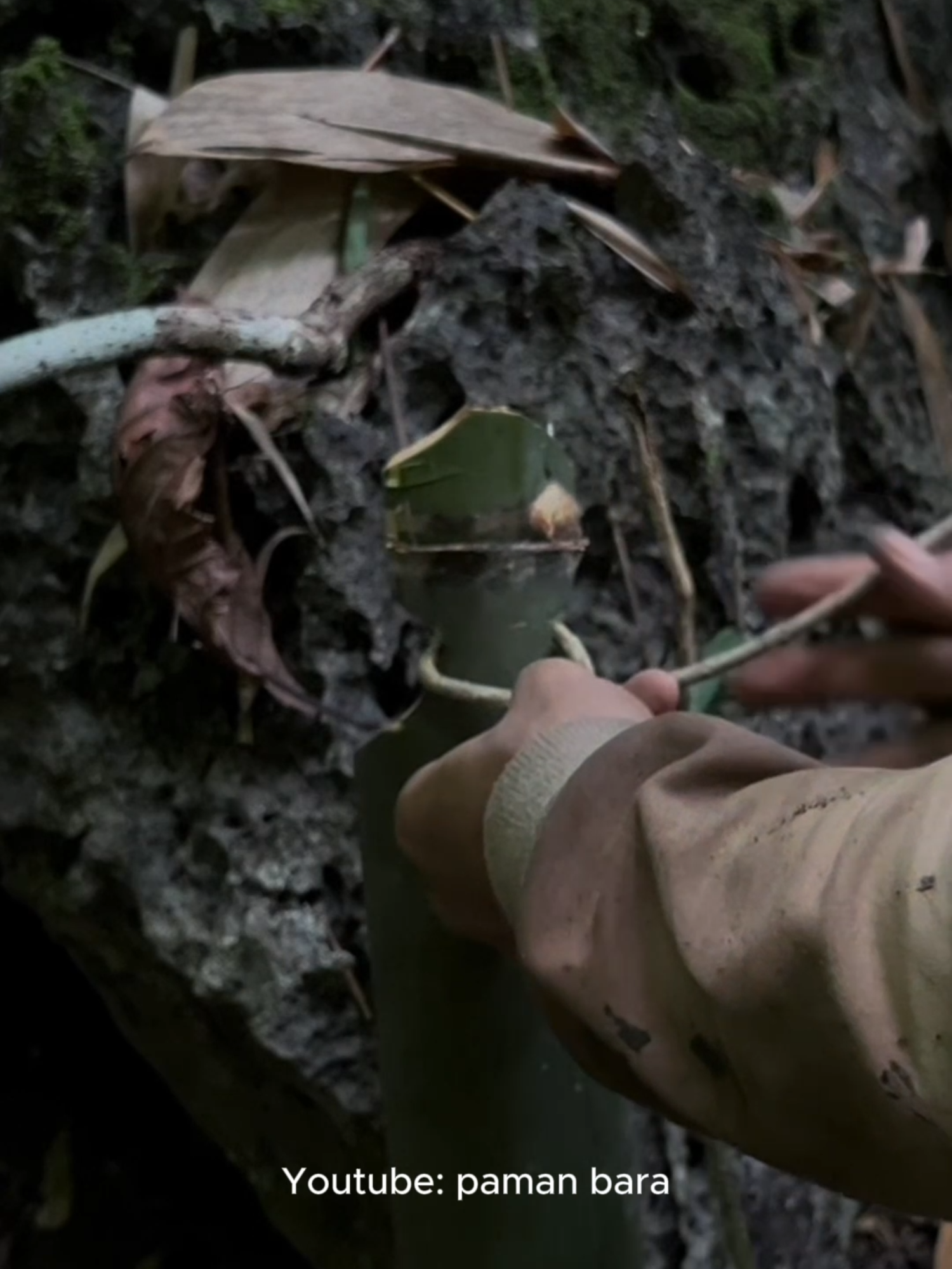 Part 69. Membuat tumbler dari bambu. #bushcraft #bushcraftindonesia #survival #minecraft #kehidupanliar #outdoor #tutorial #idea #camping #nature