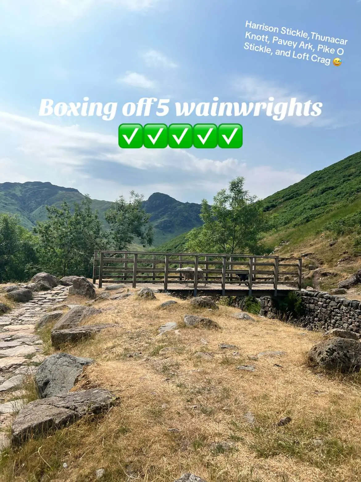 Harrison Stickle,Thunacar Knott, Pavey Ark, Pike O Stickle, and Loft Crag 😅 #lakedistrict #wainwrights #fivewainwrights #hikes #hikersoftiktok #mountains #harrisonstickle #loftcrag 
