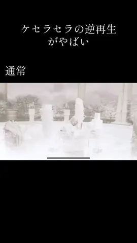ケセラセラの逆再生がやばい #逆再生  #ミセスグリーンアップル 