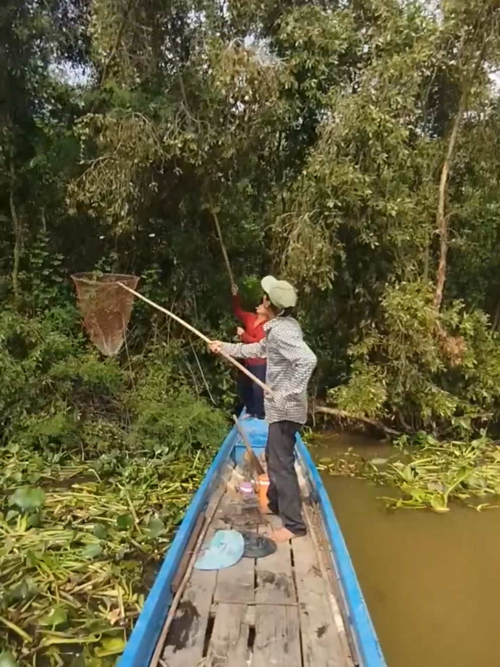 HỨNG CHUỘT ĐỒNG TRÚNG ĐẬM #xuhuong  #batchuot  #batchuotdong  #hungchuotdong  #baychuot 