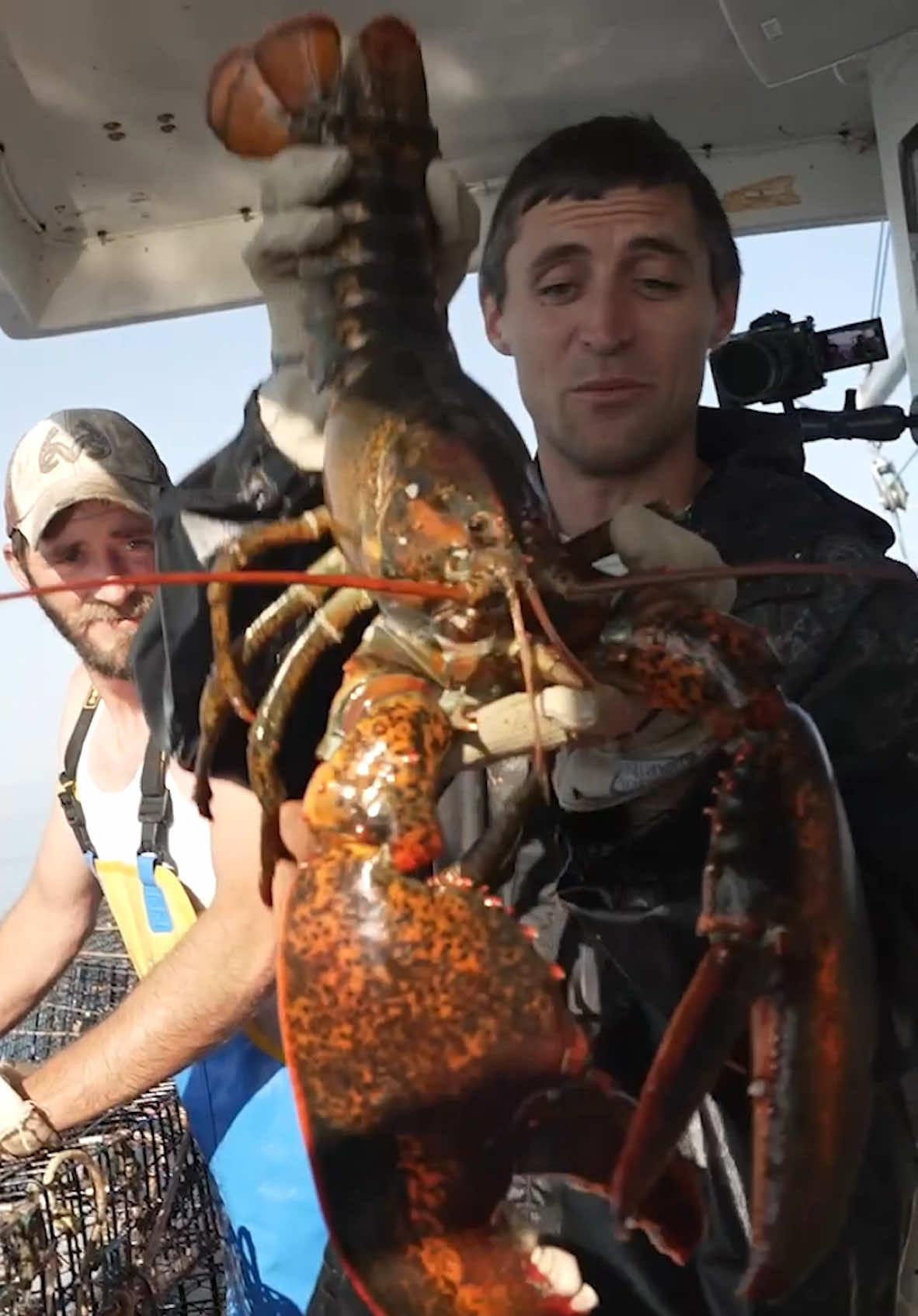 Guess we’re back!! Here’s a 2024 highlight reel! Looking forward to a fun 2025! #maine #lobsterfishing #fishing #seafood #interesting #coolcatch #rarecatch #catchoftheday #coolcatch #interesting #educate #learn #DidYouKnow 