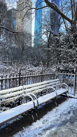 Good morning New York 🇺🇸🗽 #nyc #manhattan #newyorkcity #fyp #fypage  