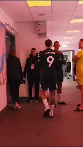 Darwin Nunez apologised to Brentford keeper, Mark Flekken after scoring two late goals past him 🤣🤣 #nunez #darwin #darwinnuñez #lfc #liverpool #liverpoolfc #brentford #PremierLeague #soccertiktok #football #fyp #foryou 