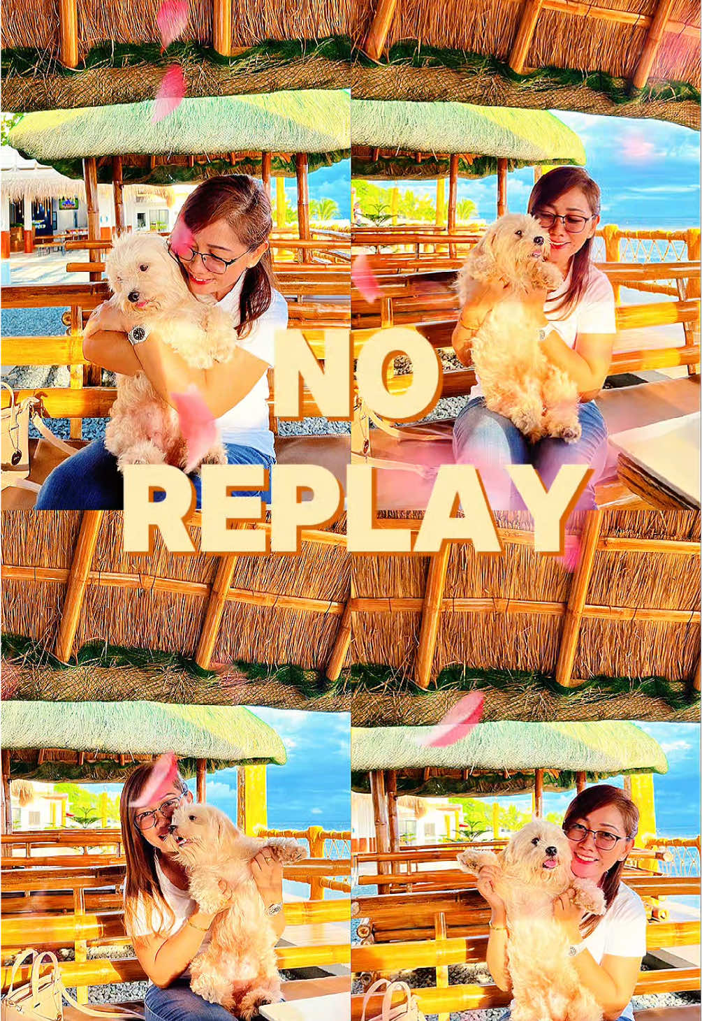 Life is short, time flies—no rewinds. Cherish every moment with Ellie.😍🐶🐕 #LifeIsShort #TimeFlies #NoRewinds #Livefully #CherishTheMoment #Capcut #fyp 